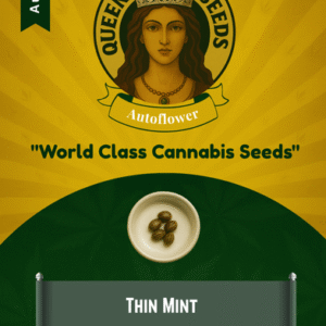 Thin Mint Autoflower Marijuana Seeds