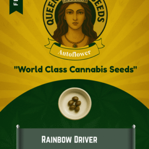 Rainbow Driver Feminized Seeds