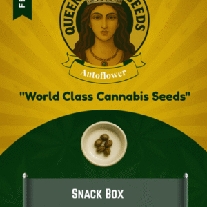 Snack Box Feminized Seeds